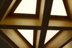 IMG 6244 edit