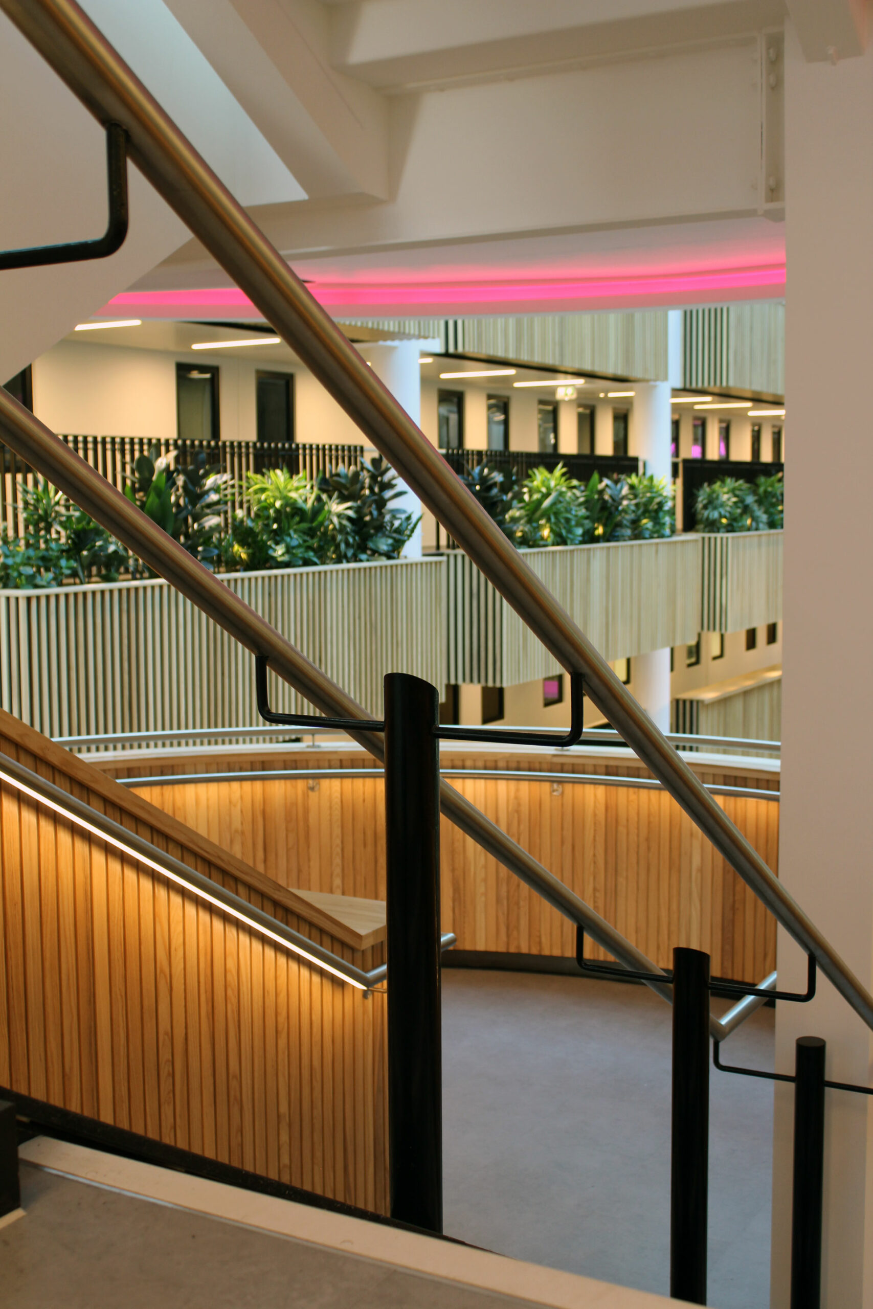 Sheffield University Atrium | Bespoke LED Handrail | The Light Lab