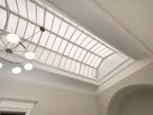 IMG 9650