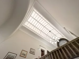 IMG 9658