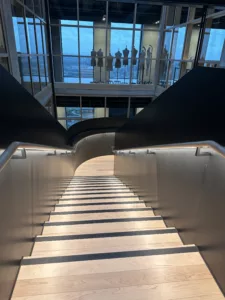 IMG 3528