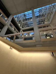 IMG 3681