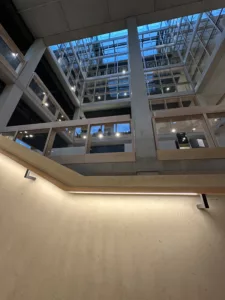 IMG 3683