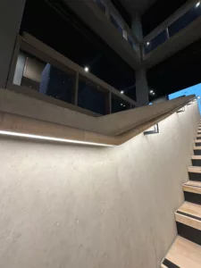 IMG 3685