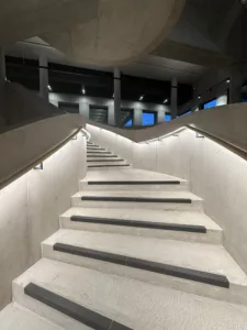 IMG 3919
