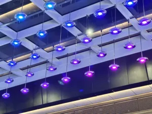 The Light Lab | St James Quarter | Luminosity bespoke ceiling feature pendants | Custom retail lighting