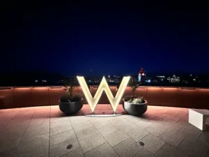 W Edinburgh | Bespoke hospitality lighting | Bespoke LED Handrail | The Light Lab