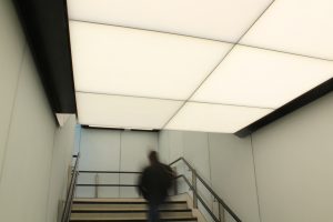 IMG 2076