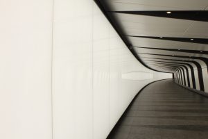 IMG 7450