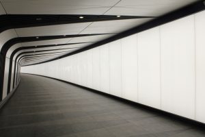 IMG 7454