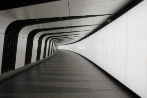 IMG 7457