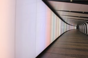 IMG 7501