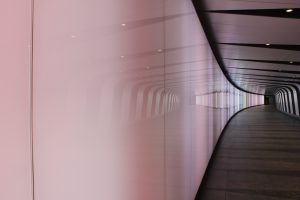 IMG 7504