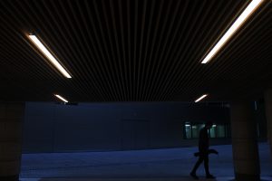IMG 8536