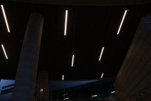 IMG 8558