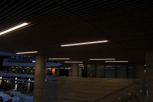 IMG 8595