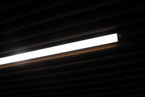 IMG 8604