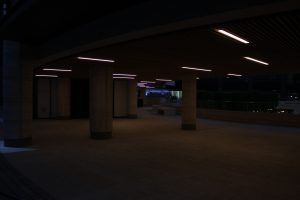 IMG 8607