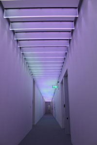 Bespoke glass fin SPI controlled ceiling light feature | Bespoke lighting design | The Light Lab