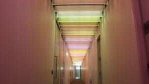 Bespoke glass fin SPI controlled ceiling light feature | Bespoke lighting design | The Light Lab